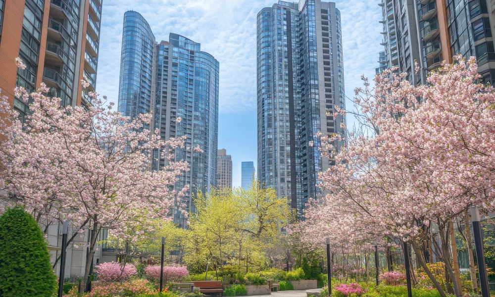 春の寒暖差と血圧変動｜透析中に気をつけたい体調のゆらぎ対策